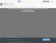 Tablet Screenshot of bluebillywig.com